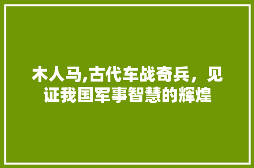 木人马,古代车战奇兵，见证我国军事智慧的辉煌
