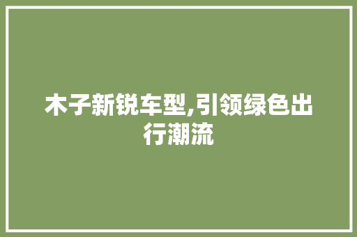 木子新锐车型,引领绿色出行潮流 车身配件