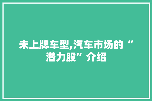 未上牌车型,汽车市场的“潜力股”介绍