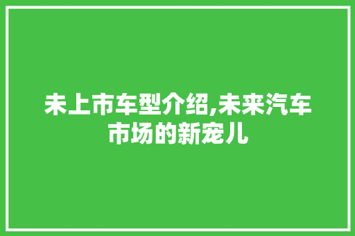未上市车型介绍,未来汽车市场的新宠儿