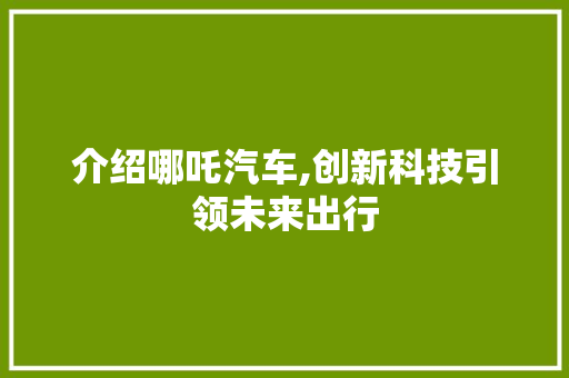 介绍哪吒汽车,创新科技引领未来出行