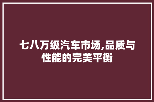 七八万级汽车市场,品质与性能的完美平衡