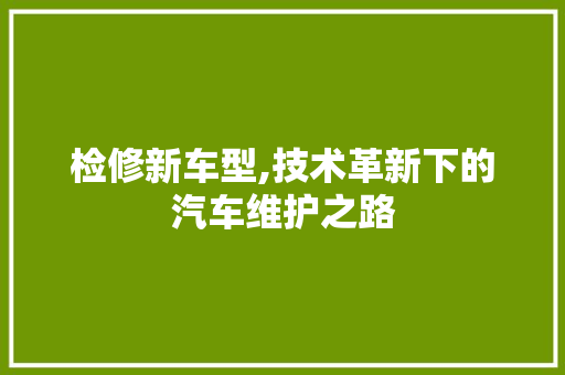 检修新车型,技术革新下的汽车维护之路