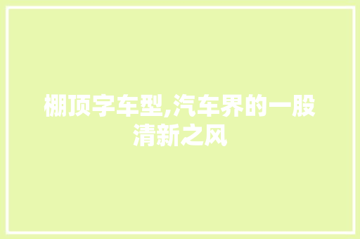棚顶字车型,汽车界的一股清新之风