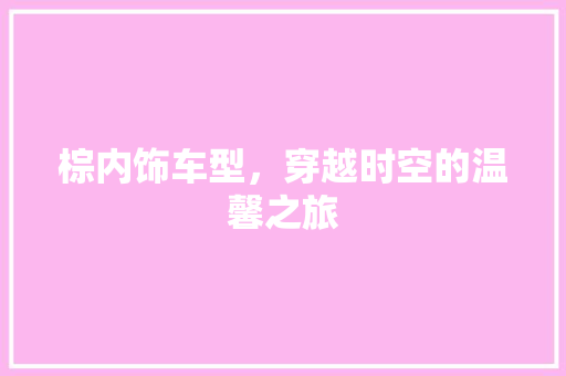 棕内饰车型，穿越时空的温馨之旅