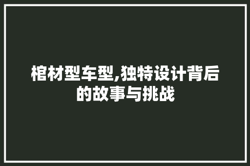 棺材型车型,独特设计背后的故事与挑战