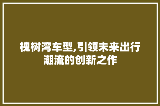 槐树湾车型,引领未来出行潮流的创新之作