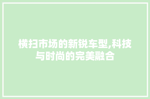 横扫市场的新锐车型,科技与时尚的完美融合 车身配件