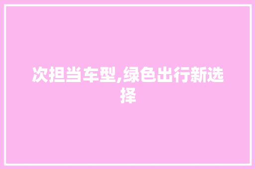 次担当车型,绿色出行新选择 变速箱配件