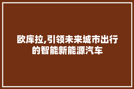 欧库拉,引领未来城市出行的智能新能源汽车