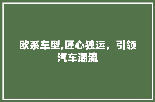 欧系车型,匠心独运，引领汽车潮流