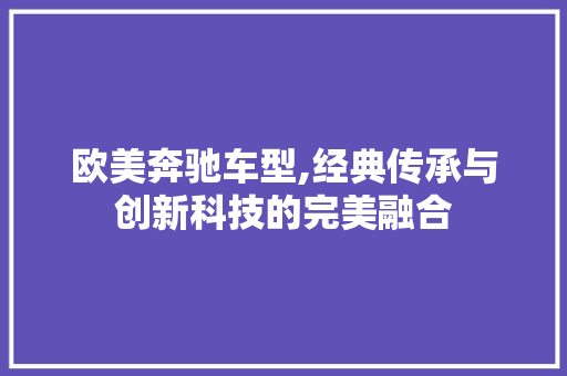 欧美奔驰车型,经典传承与创新科技的完美融合 蓄电池配件