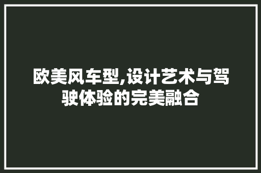 欧美风车型,设计艺术与驾驶体验的完美融合 蓄电池配件