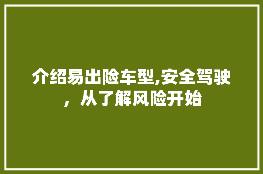 介绍易出险车型,安全驾驶，从了解风险开始