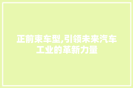 正前束车型,引领未来汽车工业的革新力量