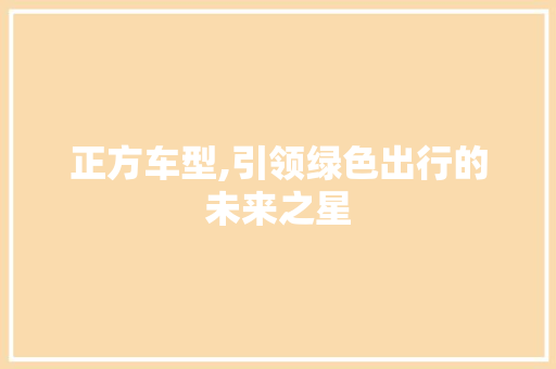 正方车型,引领绿色出行的未来之星