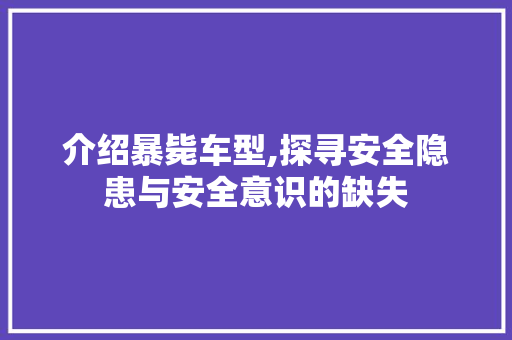 介绍暴毙车型,探寻安全隐患与安全意识的缺失