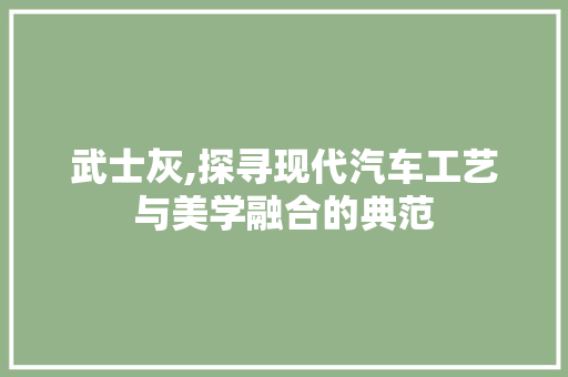 武士灰,探寻现代汽车工艺与美学融合的典范