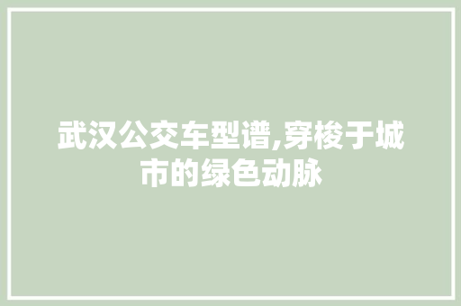武汉公交车型谱,穿梭于城市的绿色动脉 底盘配件