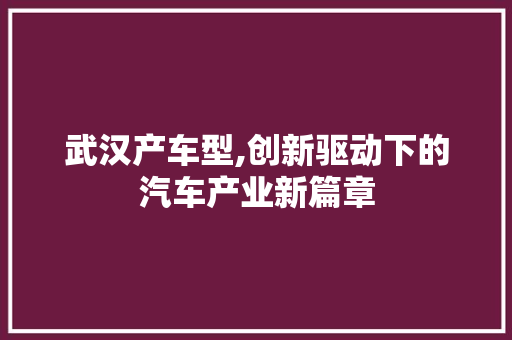 武汉产车型,创新驱动下的汽车产业新篇章
