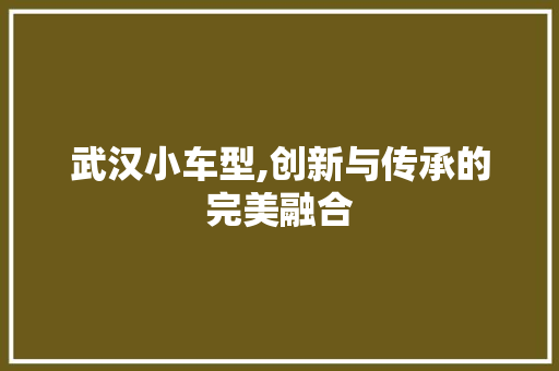 武汉小车型,创新与传承的完美融合 车灯配件