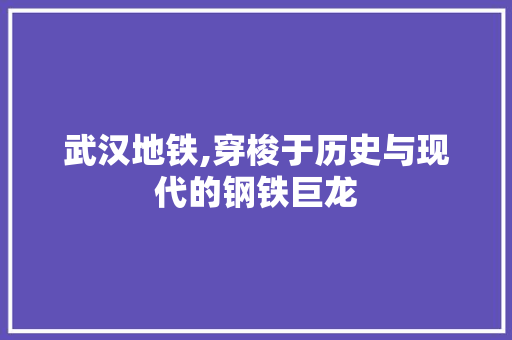 武汉地铁,穿梭于历史与现代的钢铁巨龙