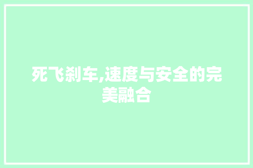 死飞刹车,速度与安全的完美融合