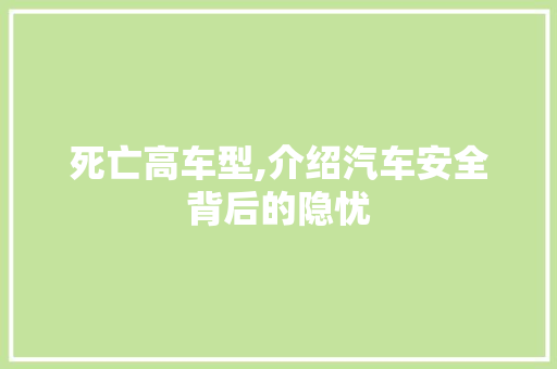 死亡高车型,介绍汽车安全背后的隐忧 汽车配件