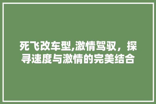 死飞改车型,激情驾驭，探寻速度与激情的完美结合 汽车配件