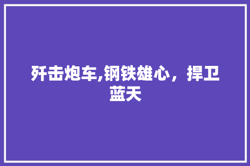 歼击炮车,钢铁雄心，捍卫蓝天