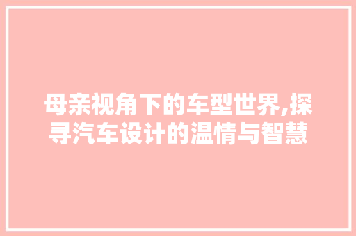 母亲视角下的车型世界,探寻汽车设计的温情与智慧 变速箱配件