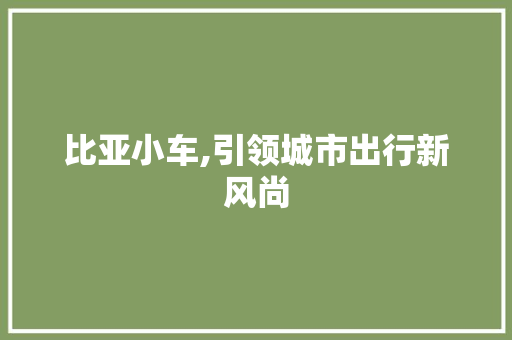 比亚小车,引领城市出行新风尚