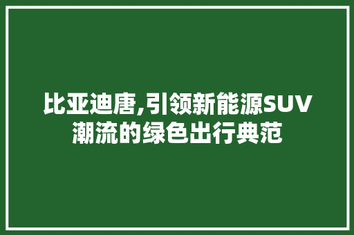 比亚迪唐,引领新能源SUV潮流的绿色出行典范
