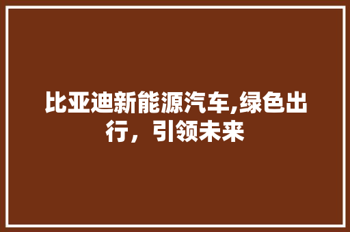 比亚迪新能源汽车,绿色出行，引领未来