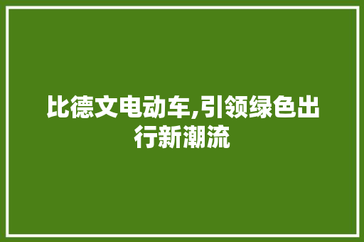 比德文电动车,引领绿色出行新潮流
