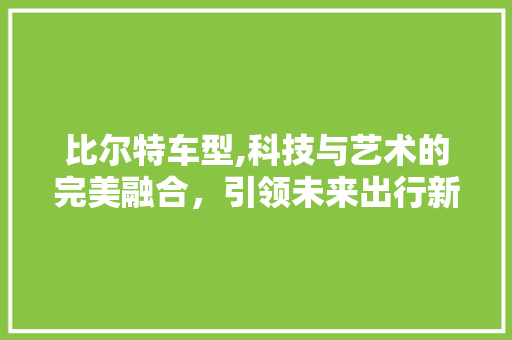 比尔特车型,科技与艺术的完美融合，引领未来出行新风尚