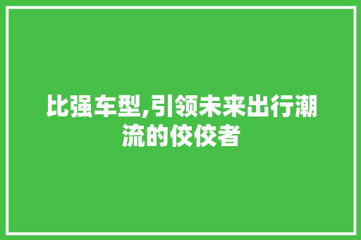 比强车型,引领未来出行潮流的佼佼者