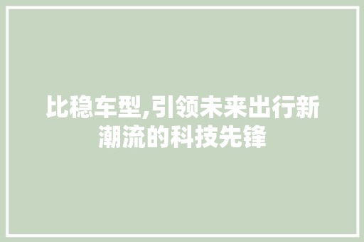 比稳车型,引领未来出行新潮流的科技先锋