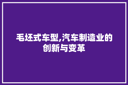 毛坯式车型,汽车制造业的创新与变革