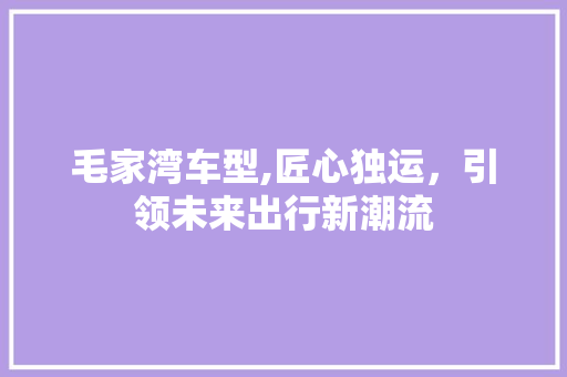 毛家湾车型,匠心独运，引领未来出行新潮流