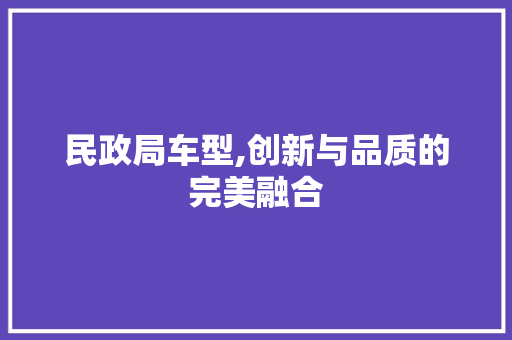 民政局车型,创新与品质的完美融合
