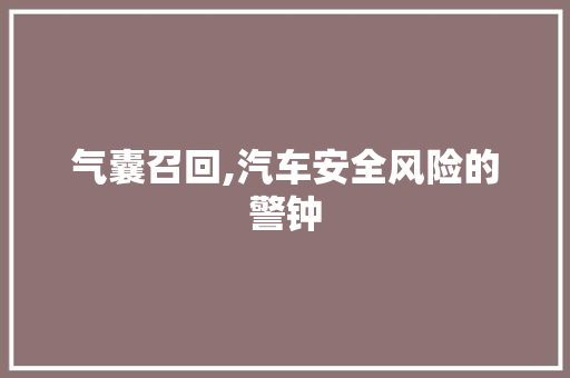 气囊召回,汽车安全风险的警钟