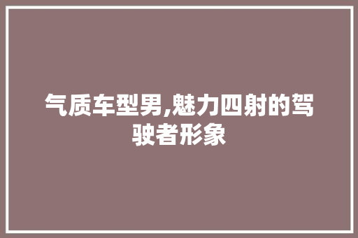 气质车型男,魅力四射的驾驶者形象