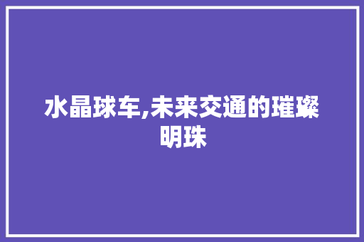水晶球车,未来交通的璀璨明珠