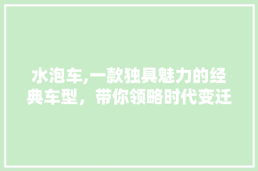 水泡车,一款独具魅力的经典车型，带你领略时代变迁