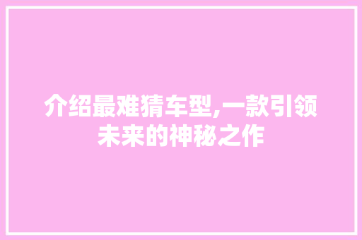 介绍最难猜车型,一款引领未来的神秘之作