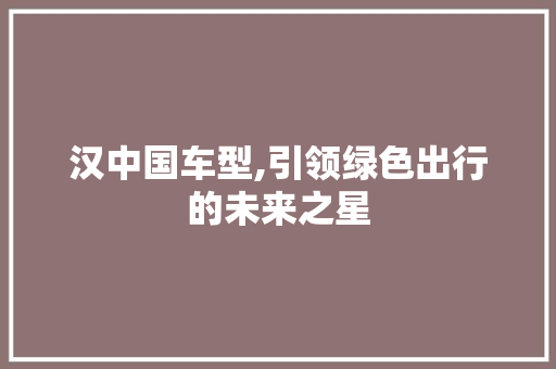 汉中国车型,引领绿色出行的未来之星