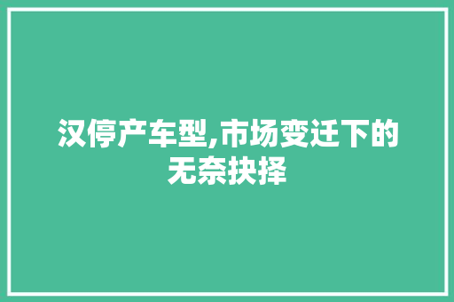 汉停产车型,市场变迁下的无奈抉择