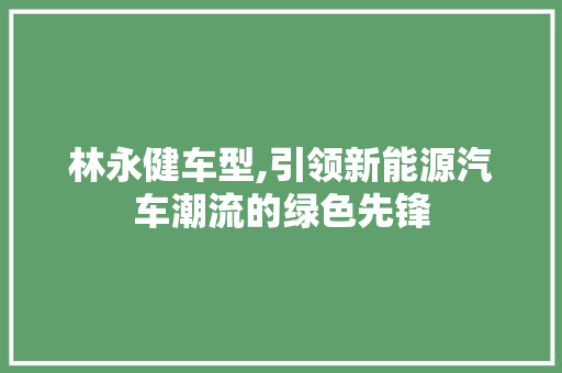 林永健车型,引领新能源汽车潮流的绿色先锋