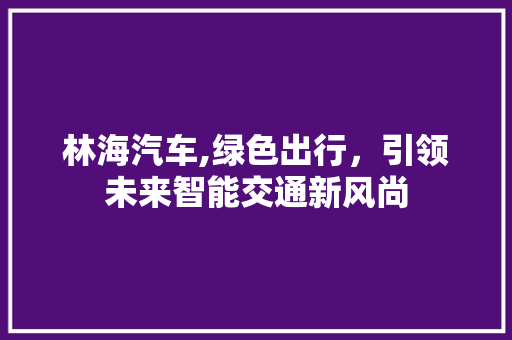 林海汽车,绿色出行，引领未来智能交通新风尚